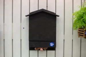 DIY Bat House Plans