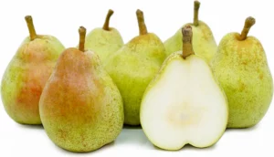 Different Types Of Pears