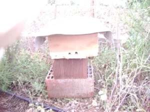  DIY Bee Hive 