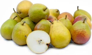Different Types Of Pears