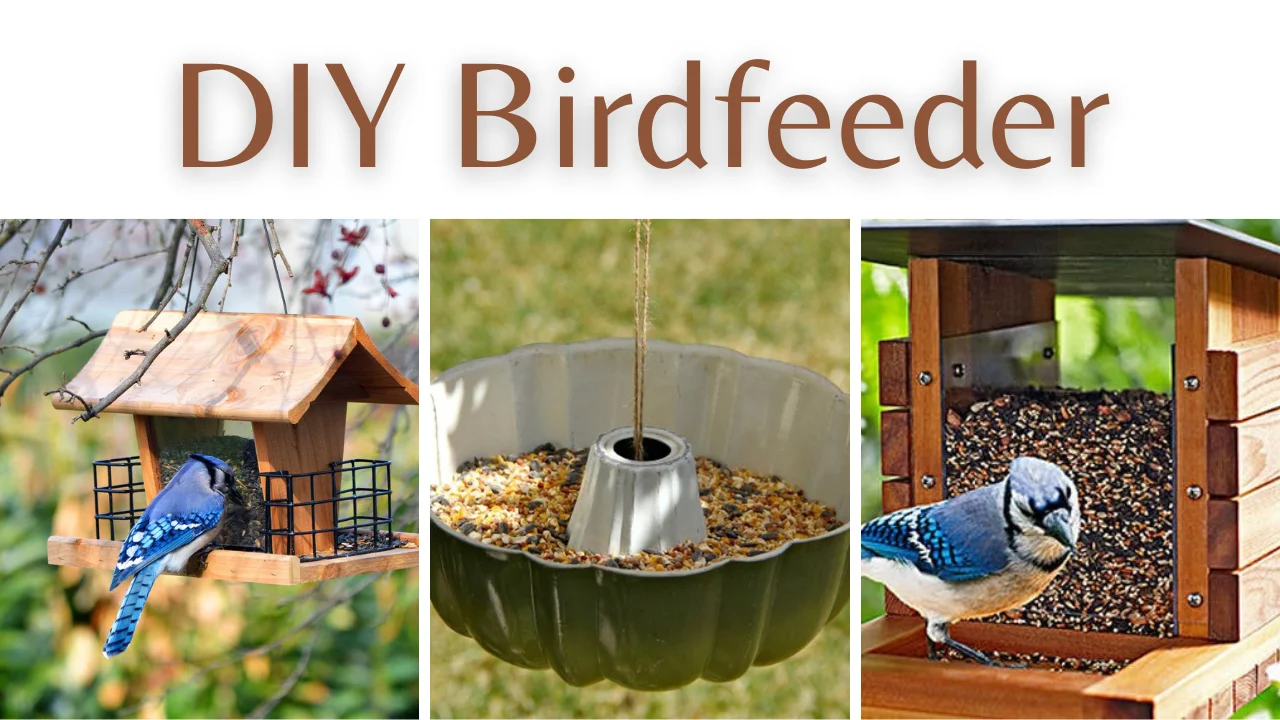 DIY Birdfeeder