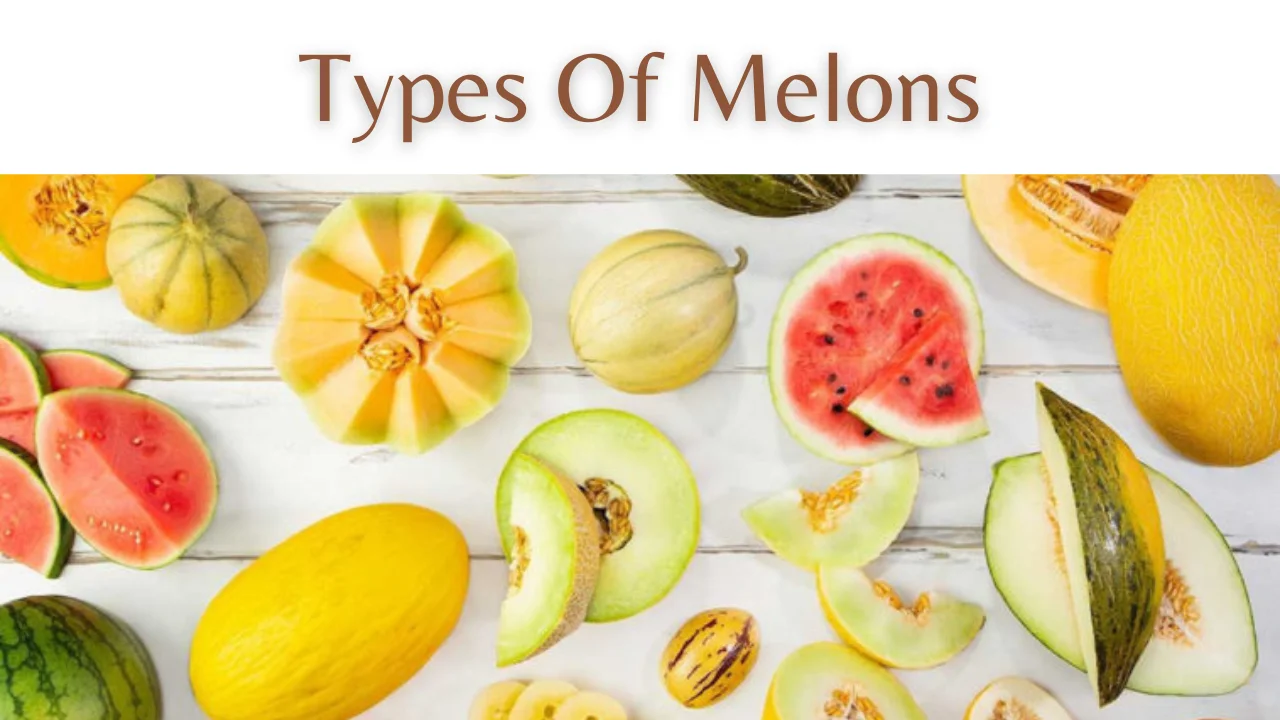 Types Of Melons