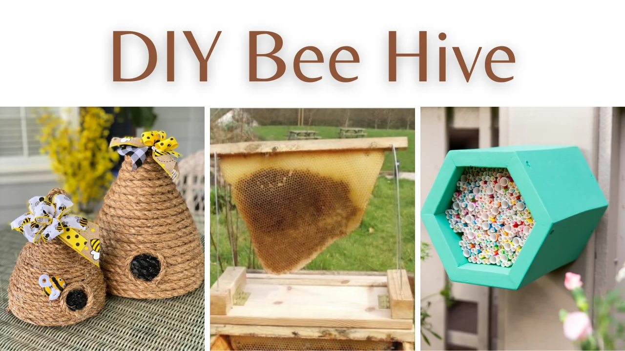  DIY Bee Hive