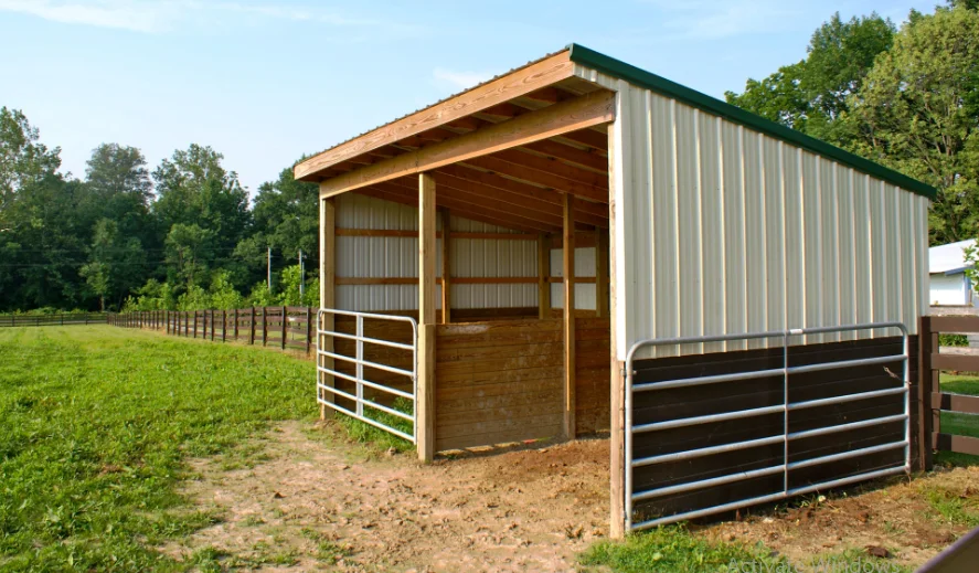 Diy Horse Shelter plans