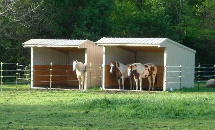 Diy Horse Shelter plans