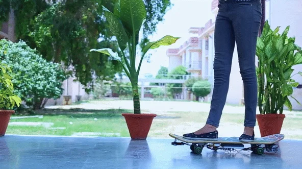 Diy electric skateboards 