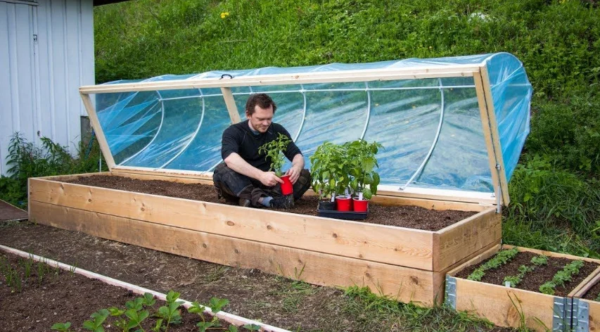 Diy greenhouse plans