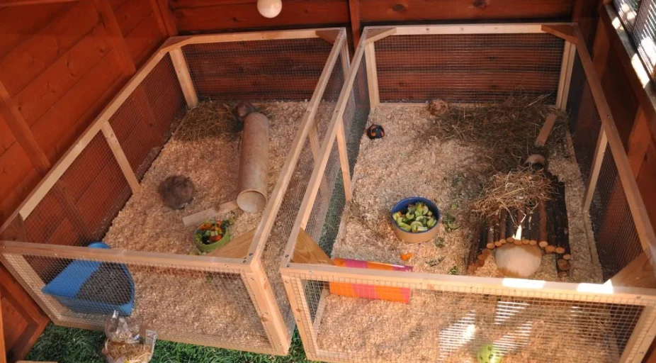 Diy guinea pig cages