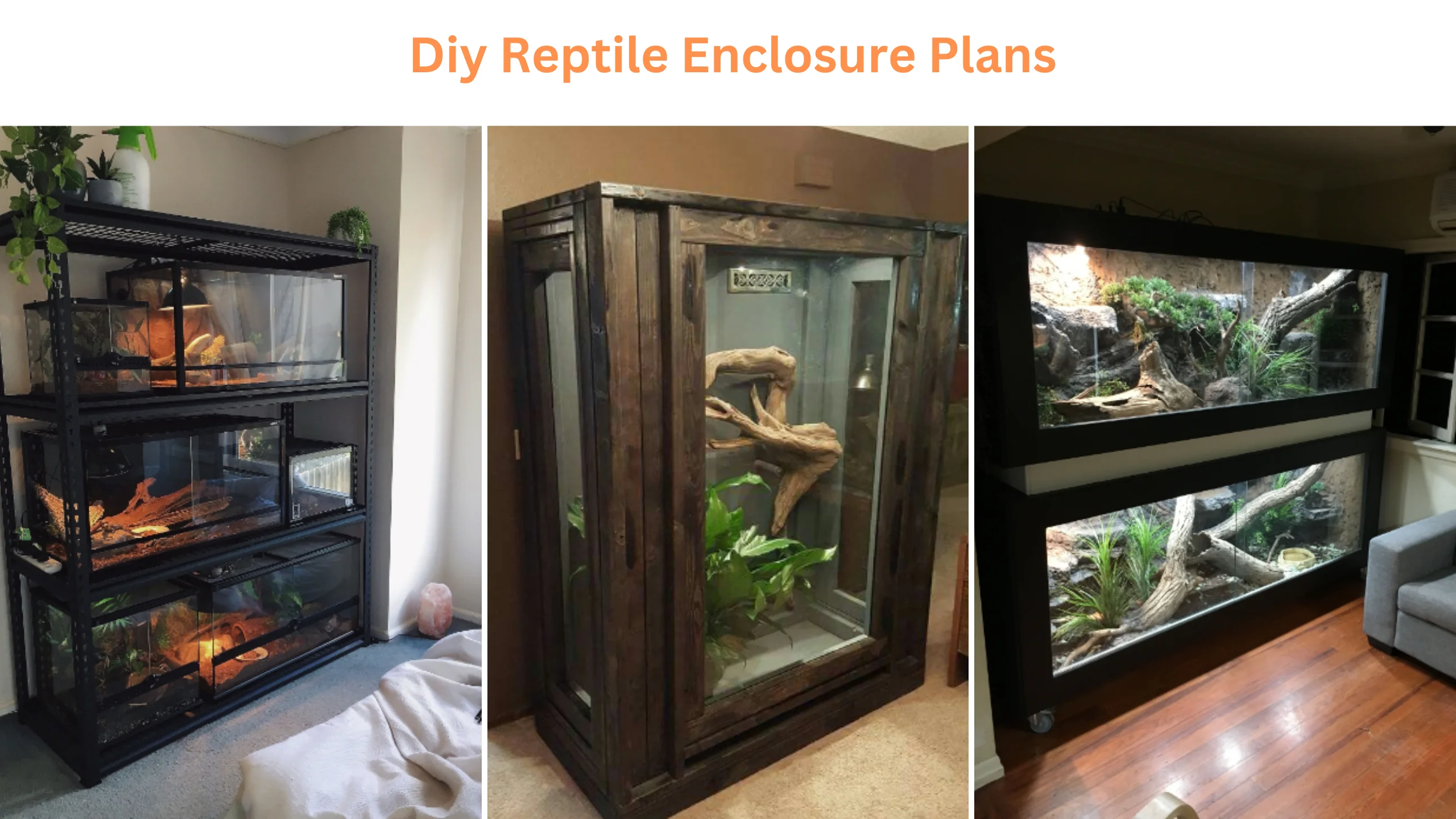 Diy reptile enclosure plans (2)