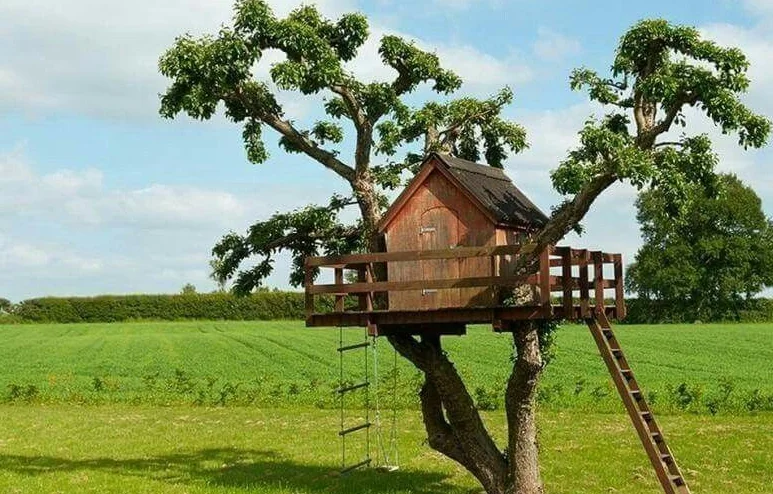 Tree houses